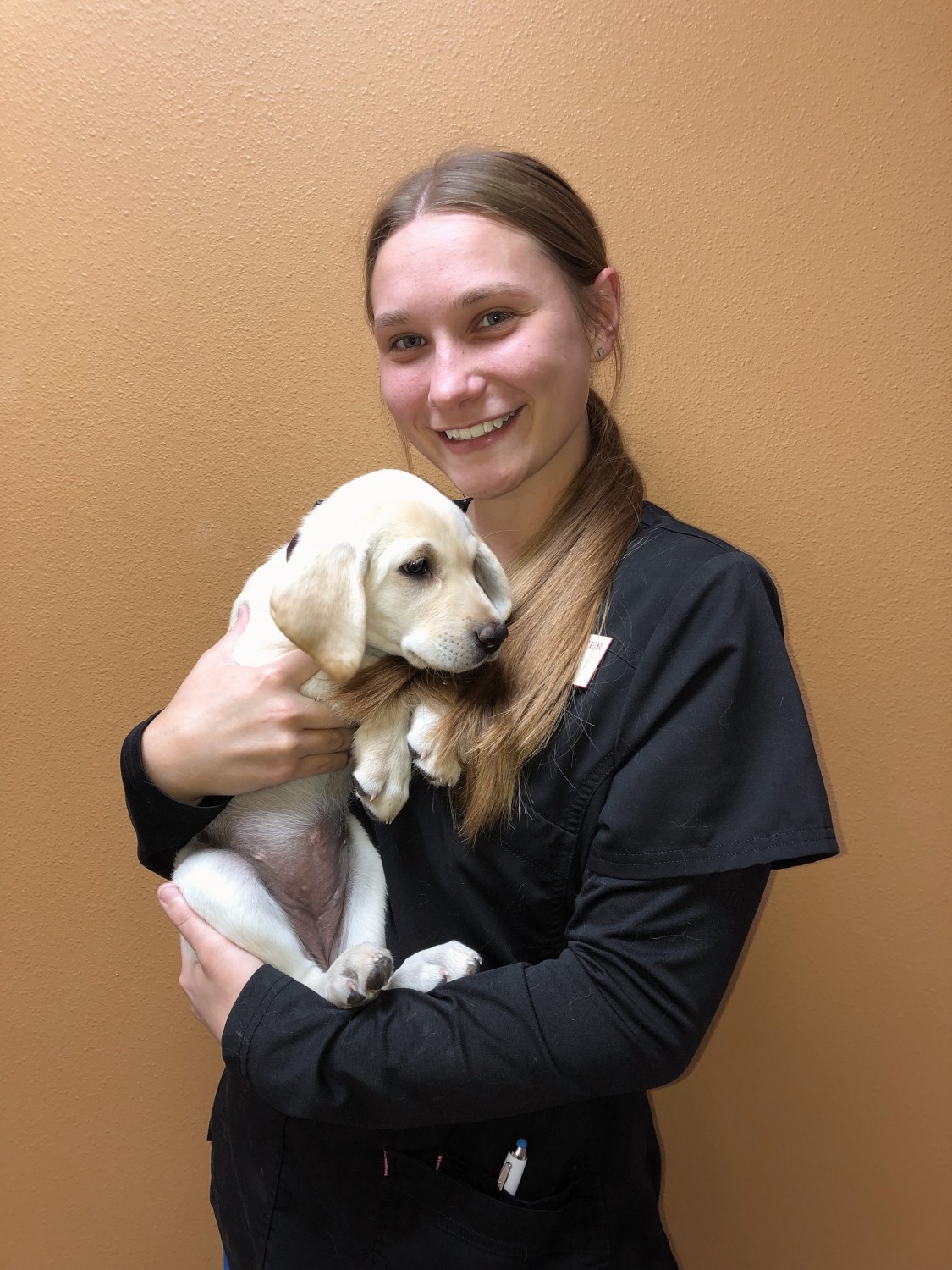 Detroit Lakes Animal Hospital Detroit Lakes, MN Our Staff